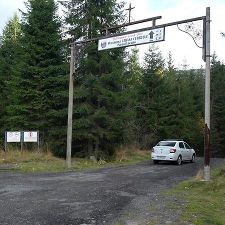 Cabana Cerbul-Oasa-Transalpina Ciban Luaran gambar