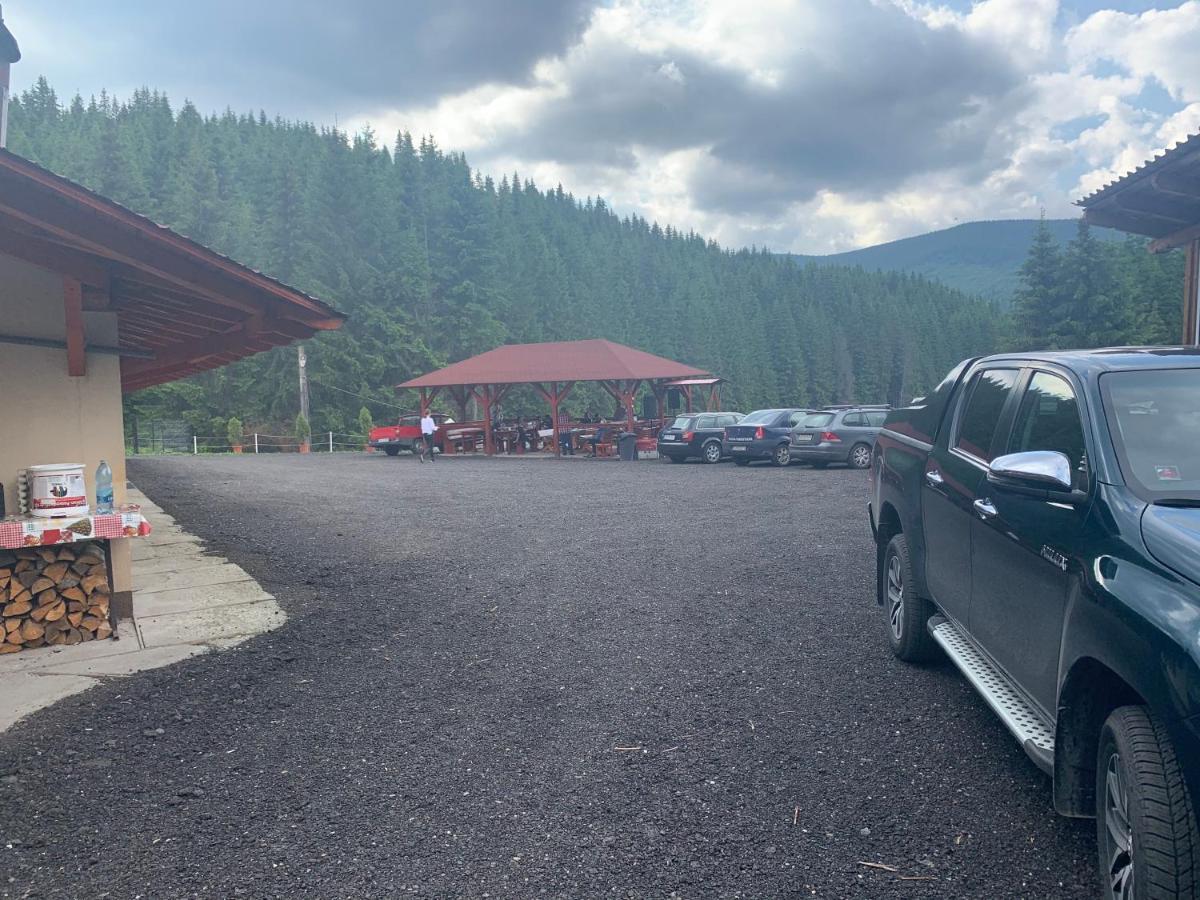 Cabana Cerbul-Oasa-Transalpina Ciban Luaran gambar