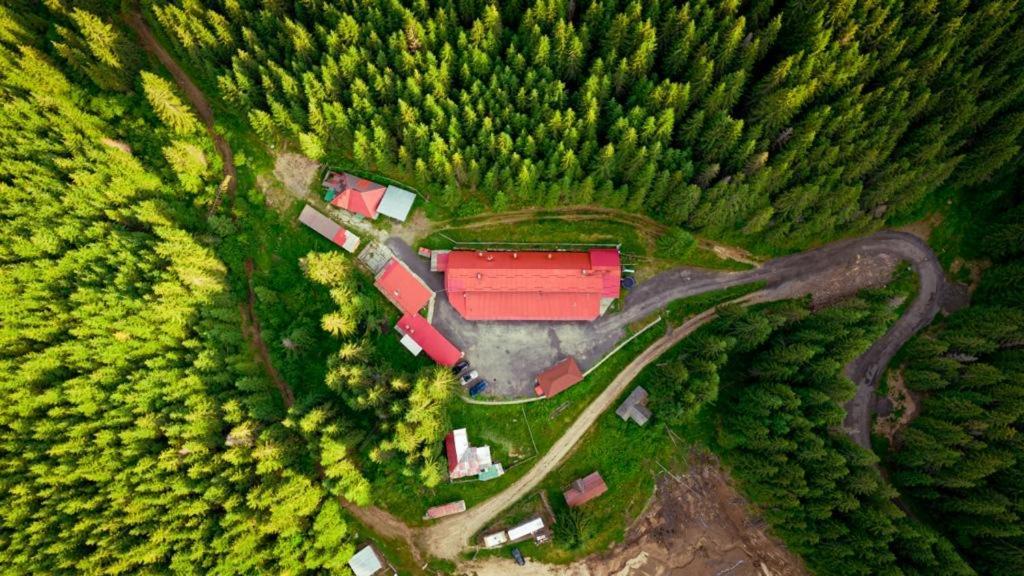 Cabana Cerbul-Oasa-Transalpina Ciban Luaran gambar