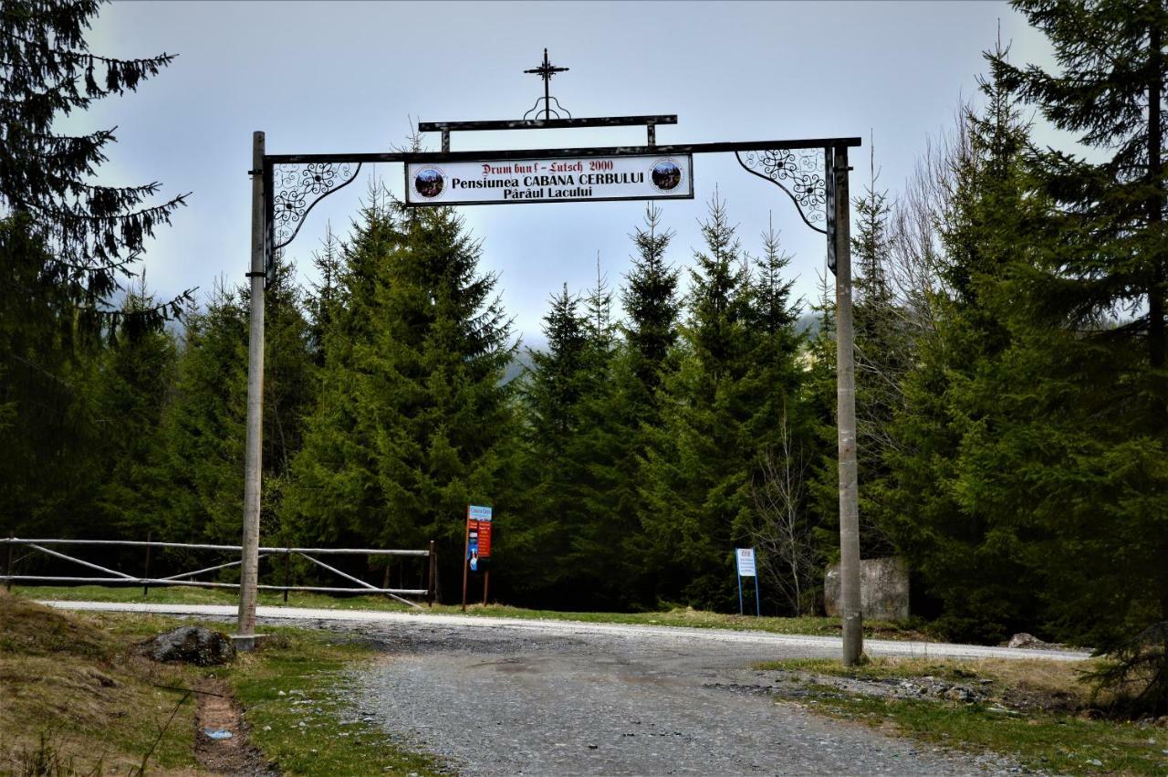 Cabana Cerbul-Oasa-Transalpina Ciban Luaran gambar