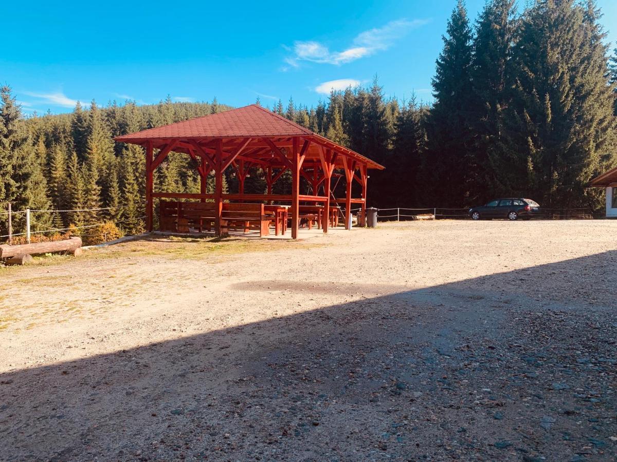Cabana Cerbul-Oasa-Transalpina Ciban Luaran gambar