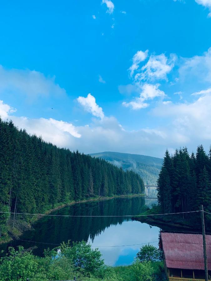 Cabana Cerbul-Oasa-Transalpina Ciban Luaran gambar