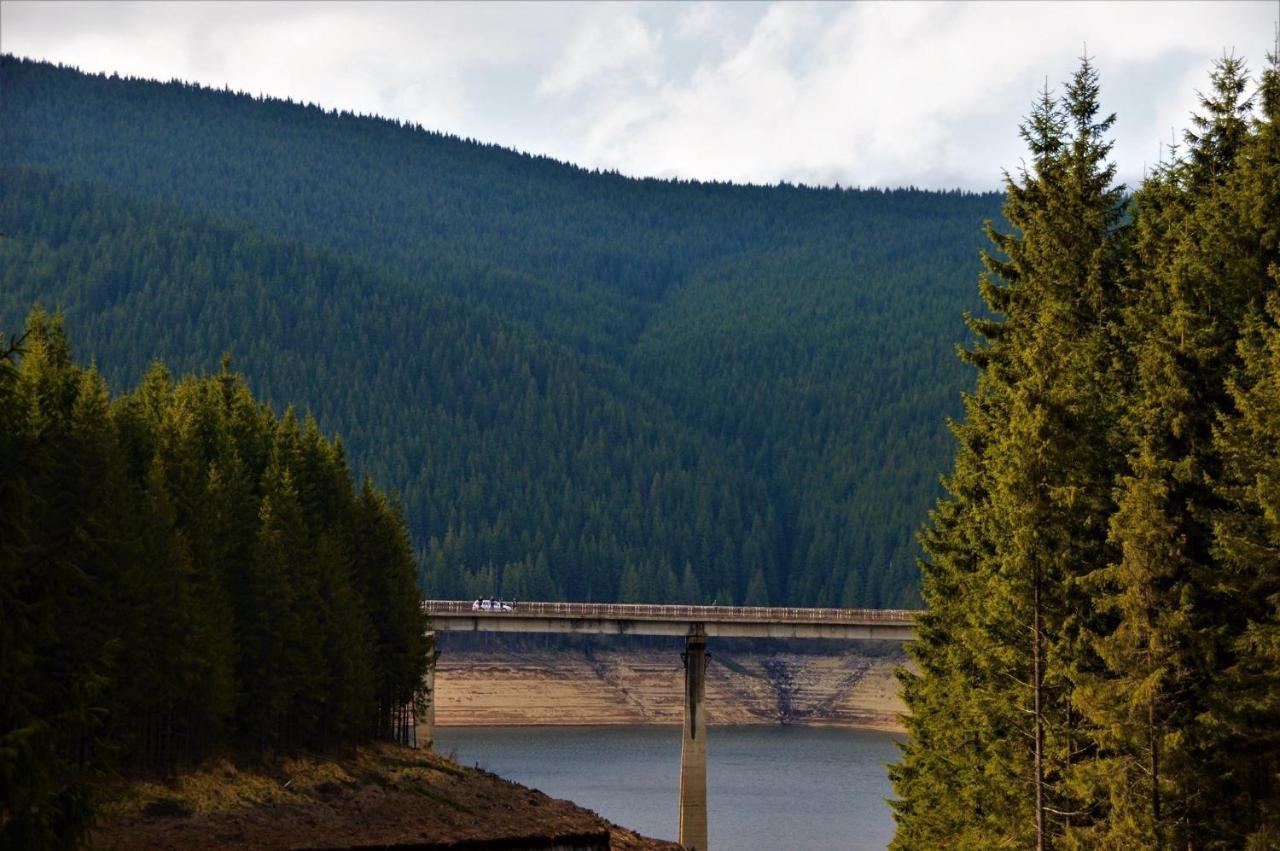 Cabana Cerbul-Oasa-Transalpina Ciban Luaran gambar