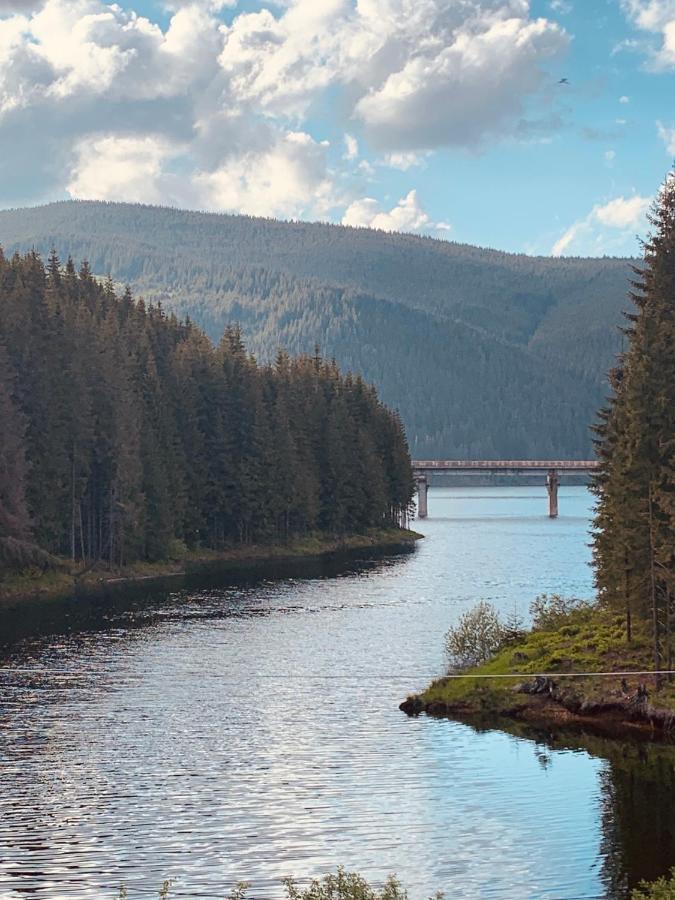 Cabana Cerbul-Oasa-Transalpina Ciban Luaran gambar